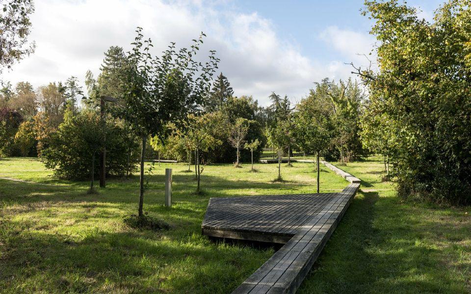 Prairie Saint-Martin avec herbes et arbres